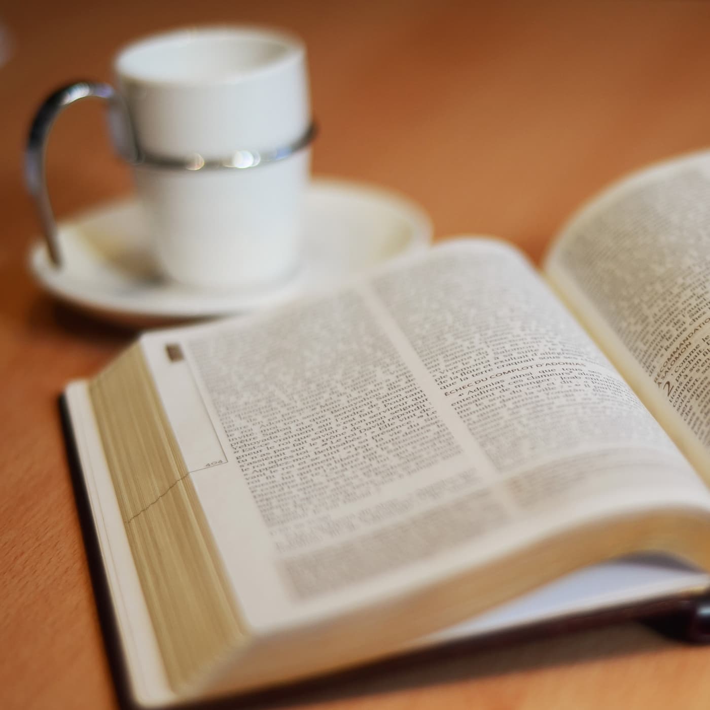 Lecture quotidienne de la bible en 1 an