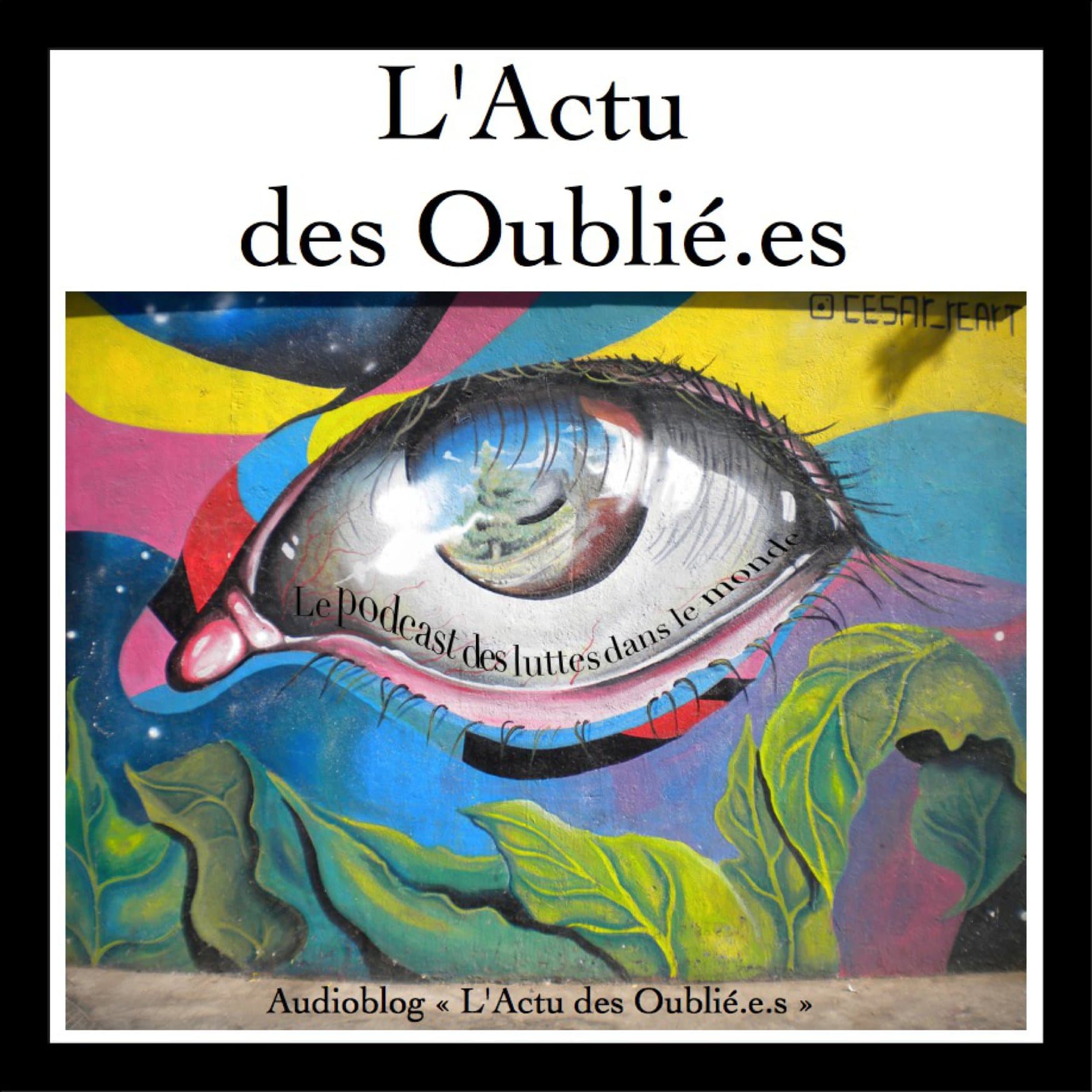L'Actu des Oubliéǝs