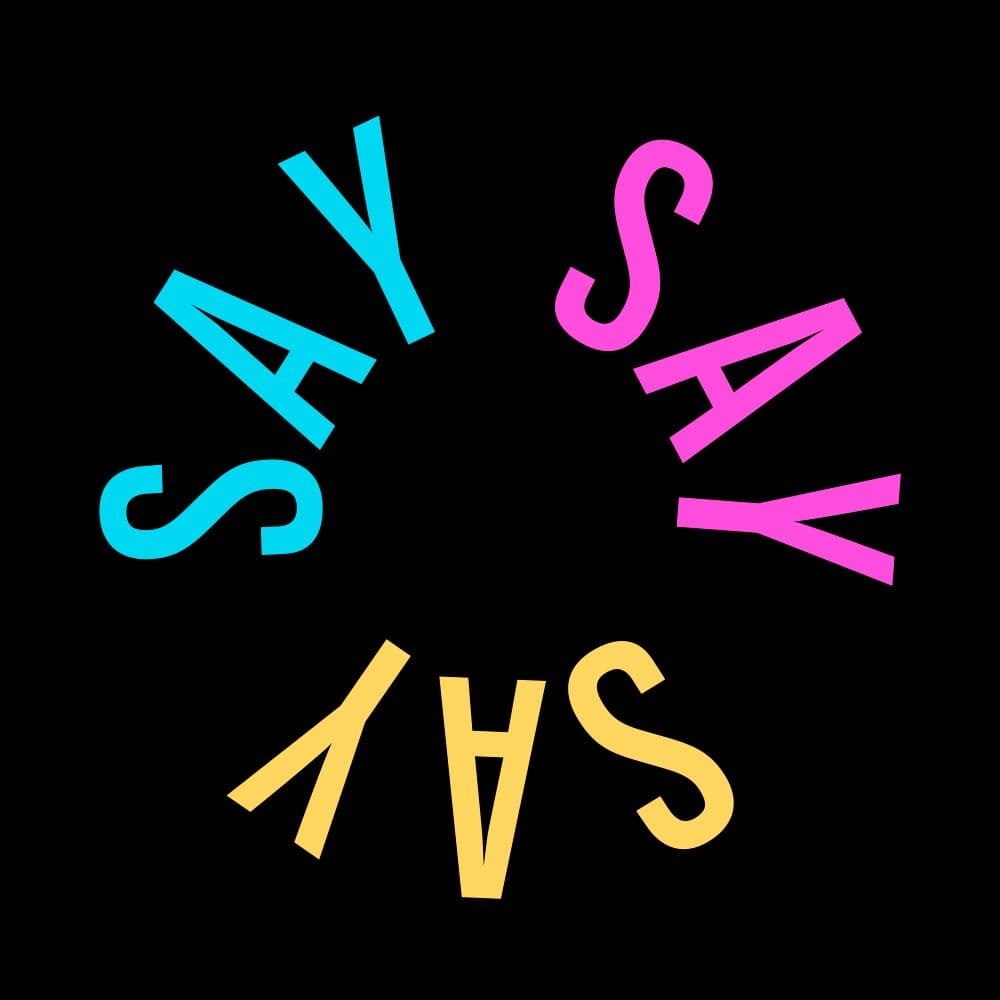 SAY SAY SAY