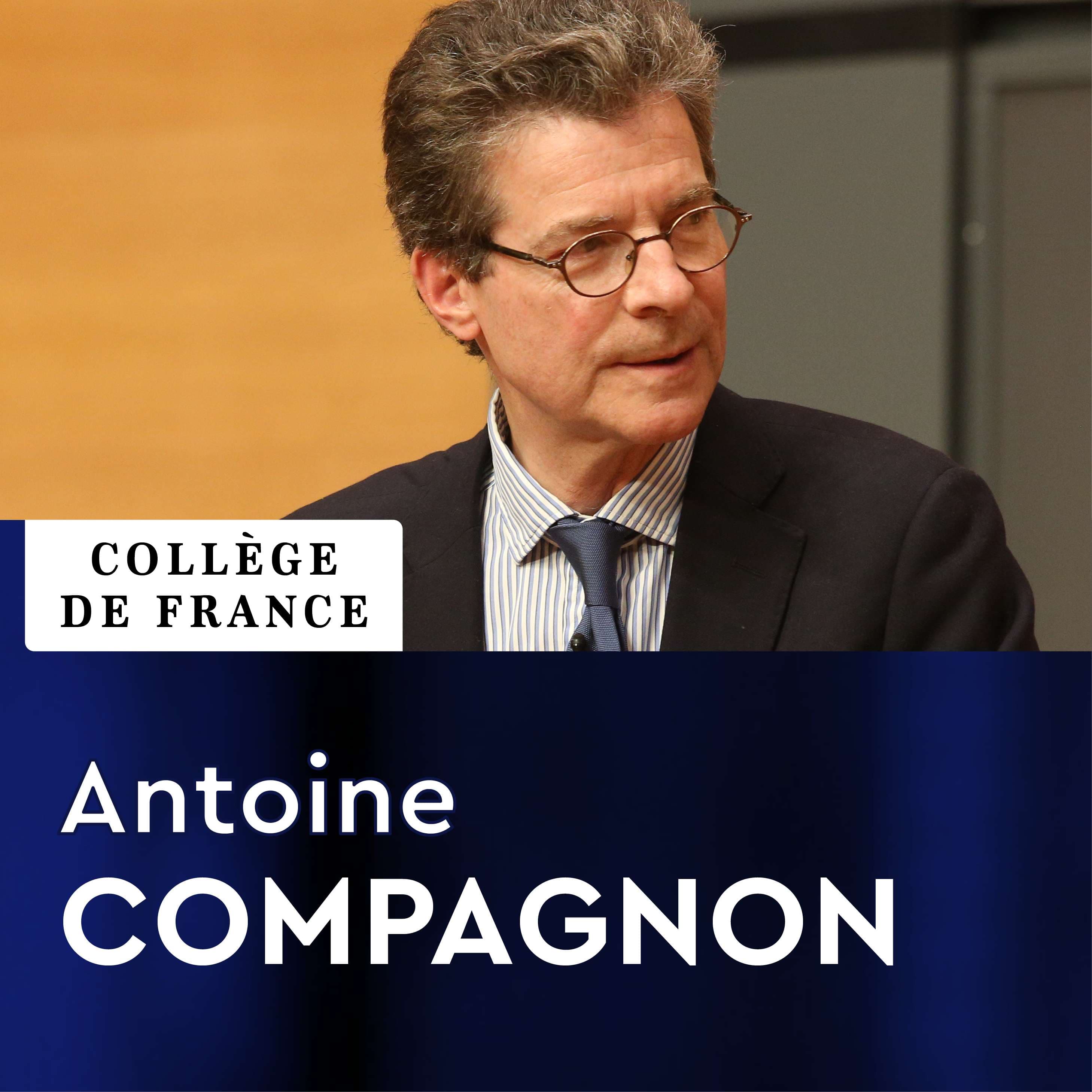 Littérature française moderne et contemporaine : Histoire, critique, théorie - Antoine Compagnon