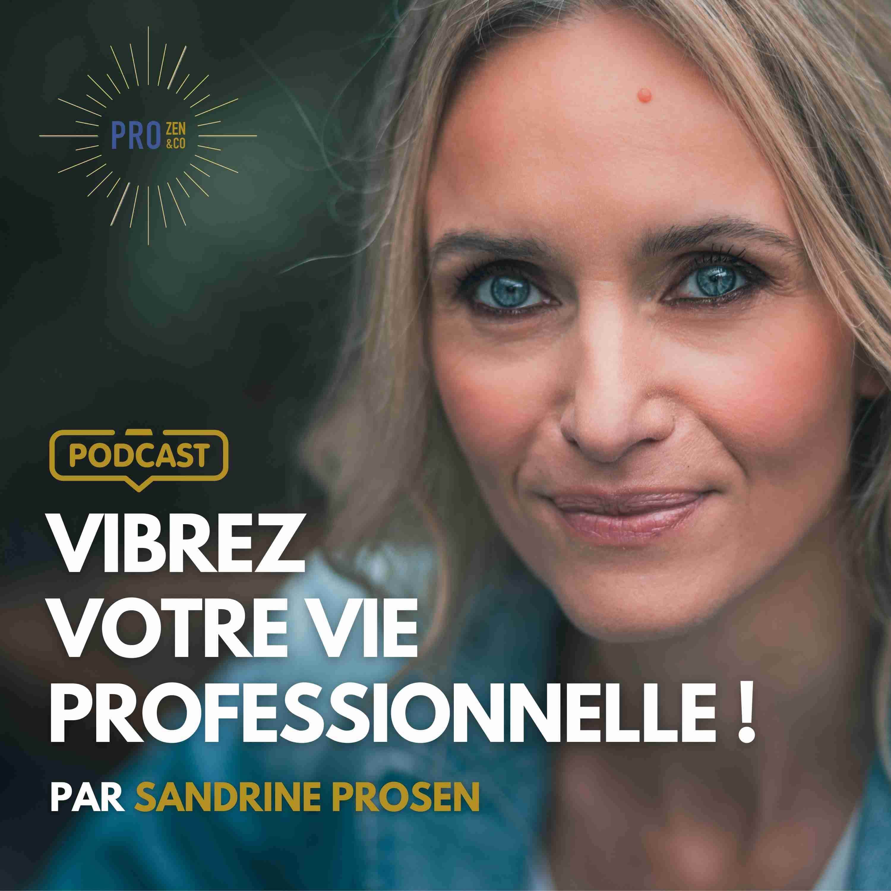 Vibrez Votre Vie Professionnelle! Par Sandrine Krief