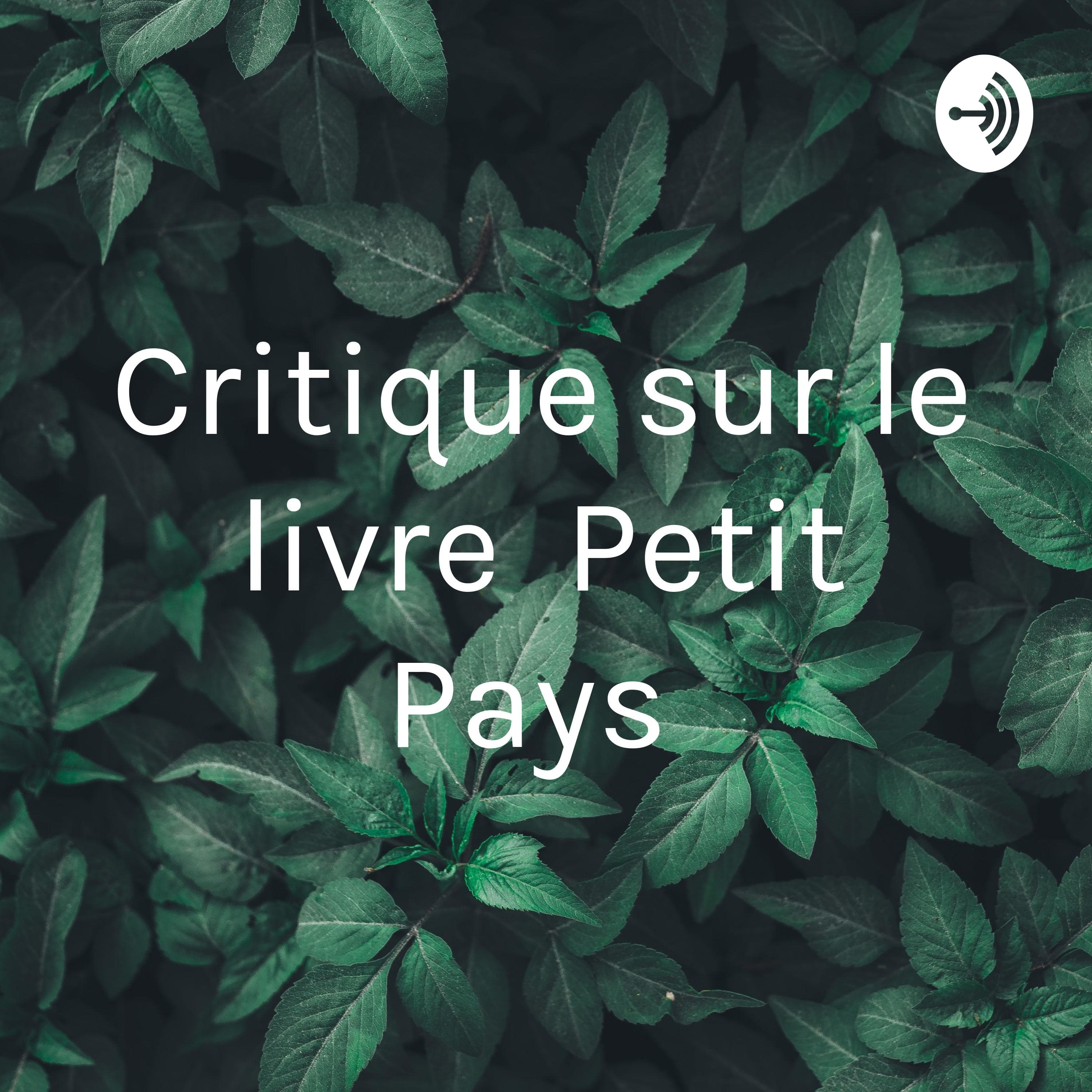 Critique sur le livre « Petit Pays »