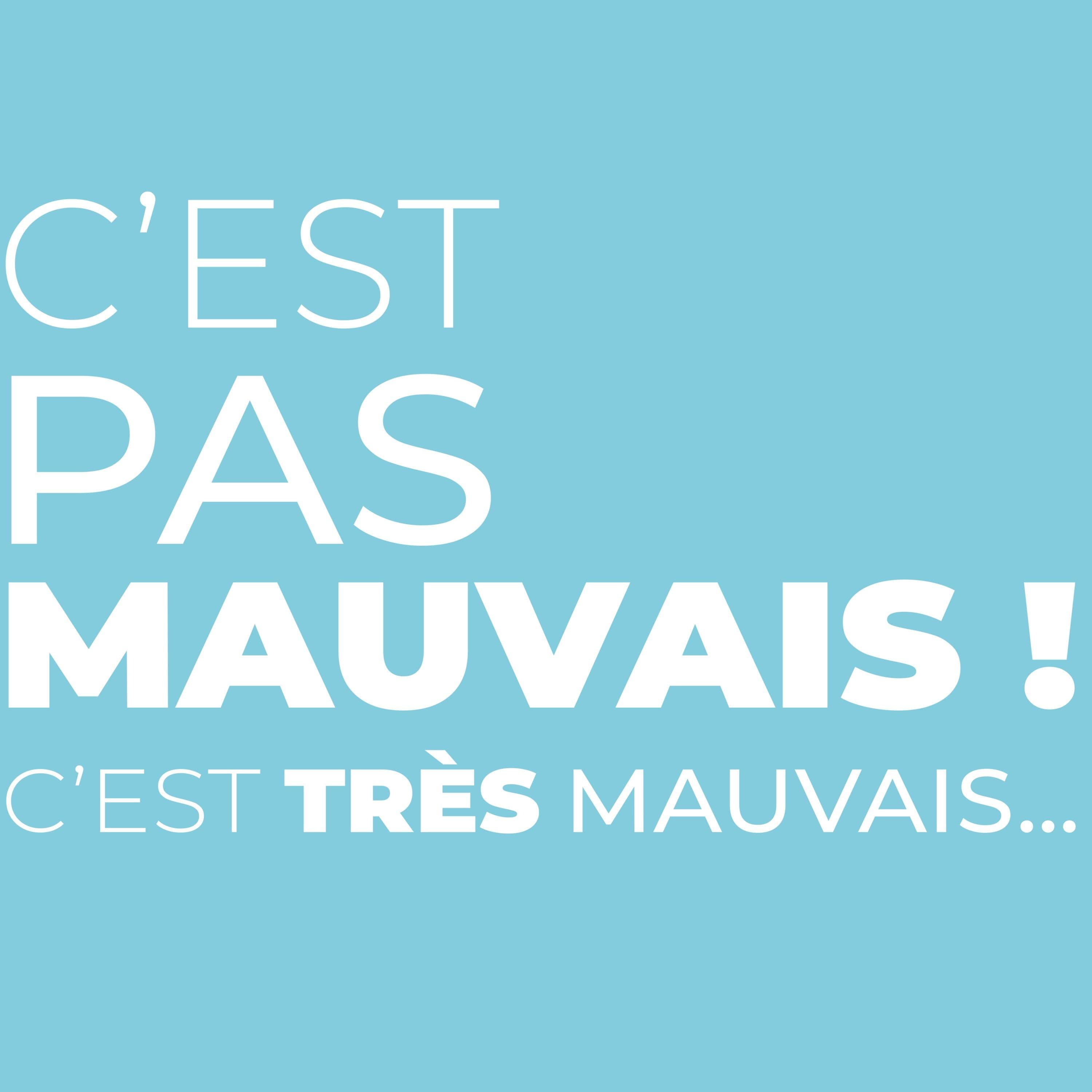 C'est pas mauvais, c'est très MAUVAIS...