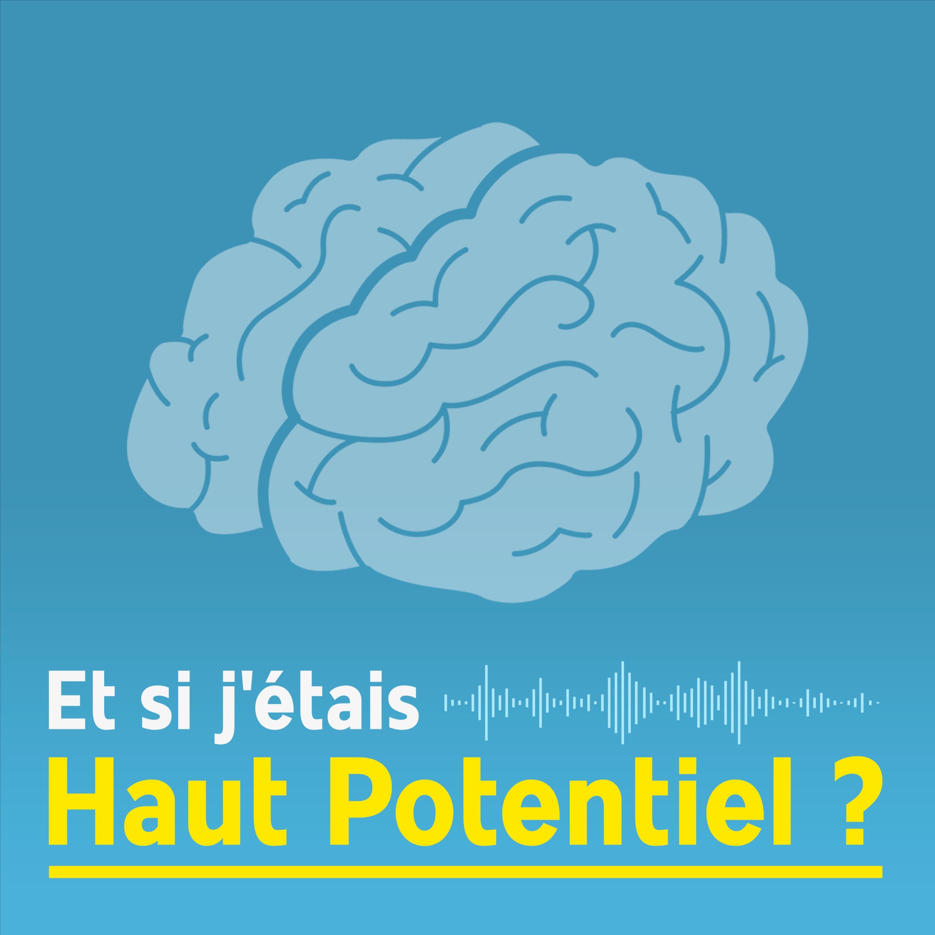 Et si j'étais Haut Potentiel ?