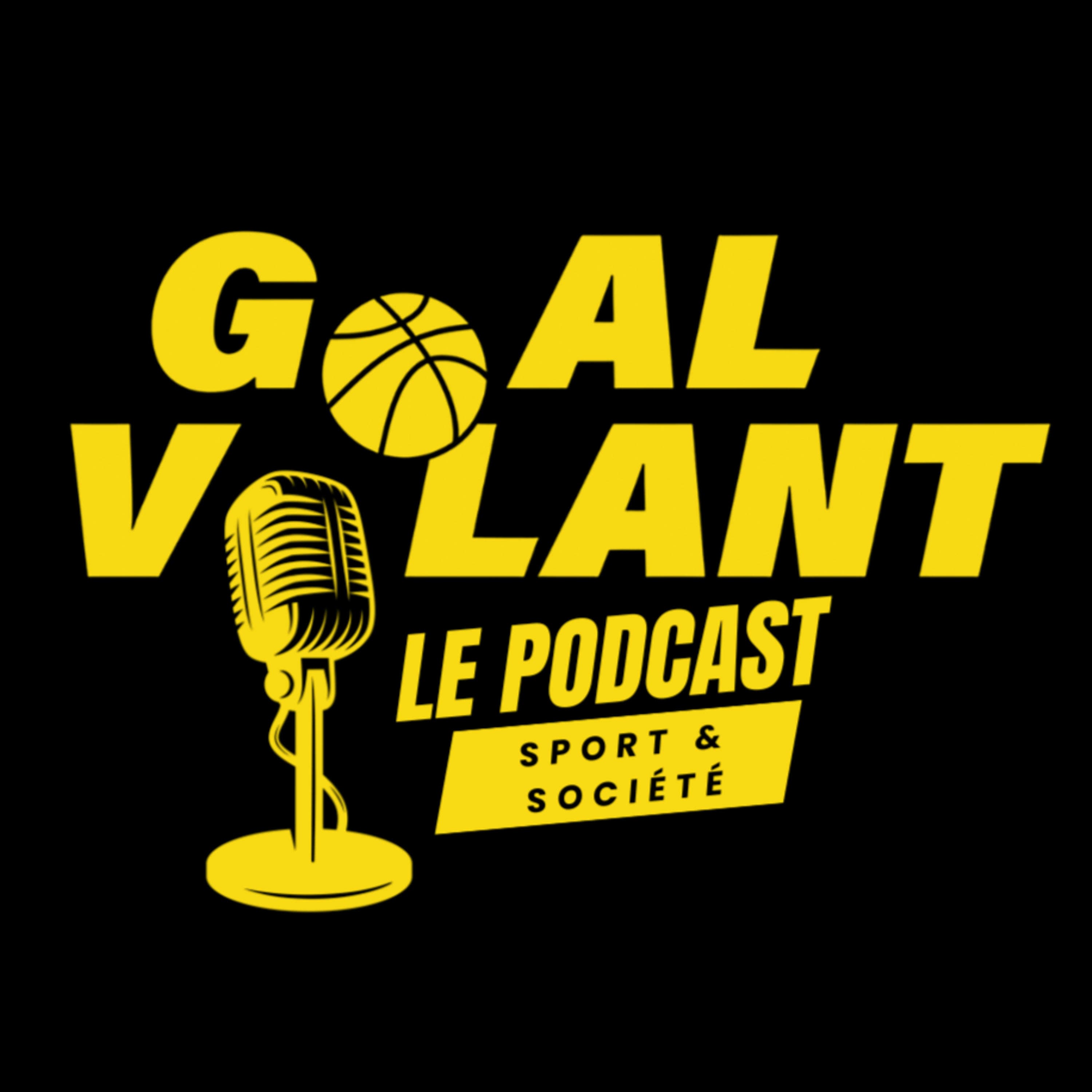 Goal-Volant
