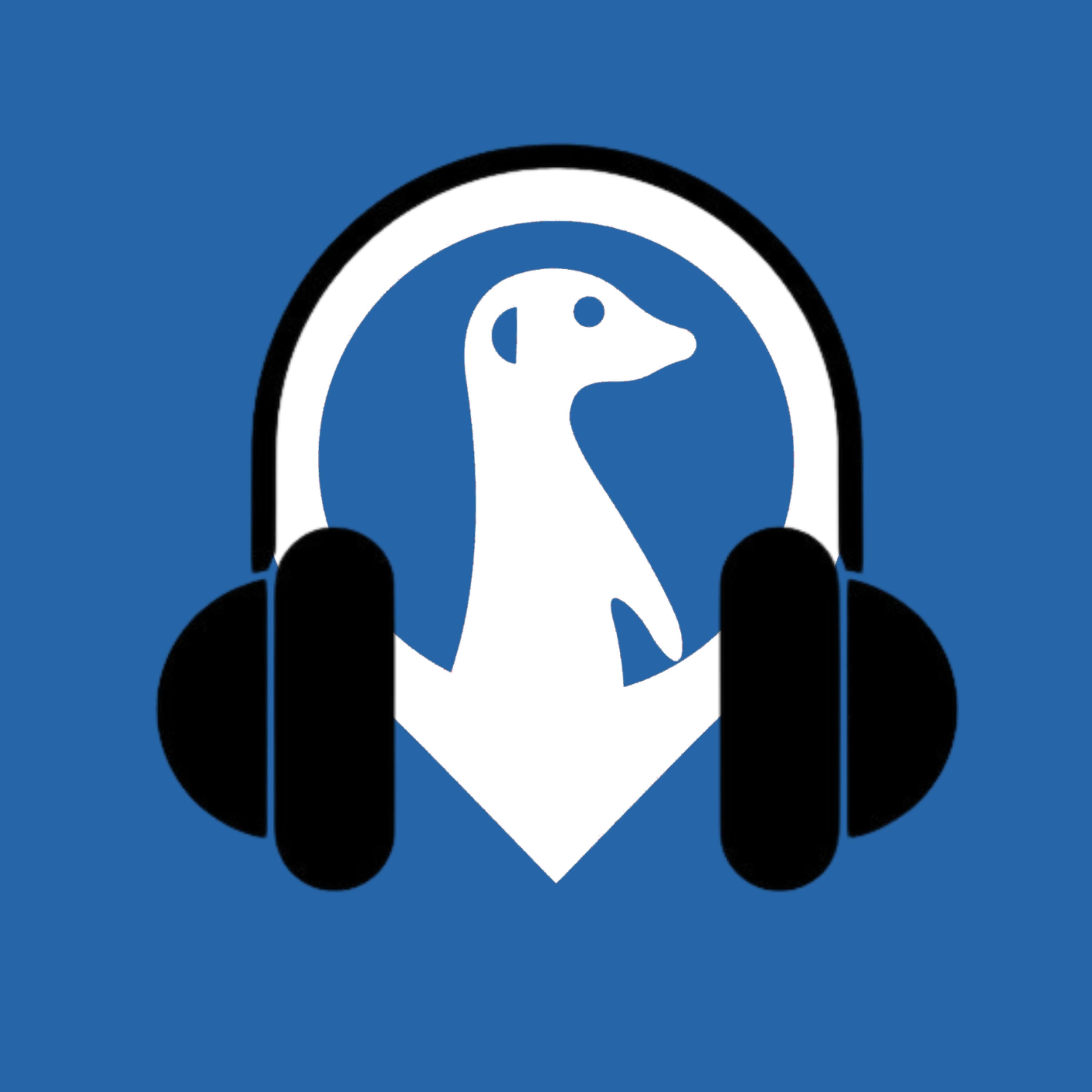 Le Terrier du Suricate