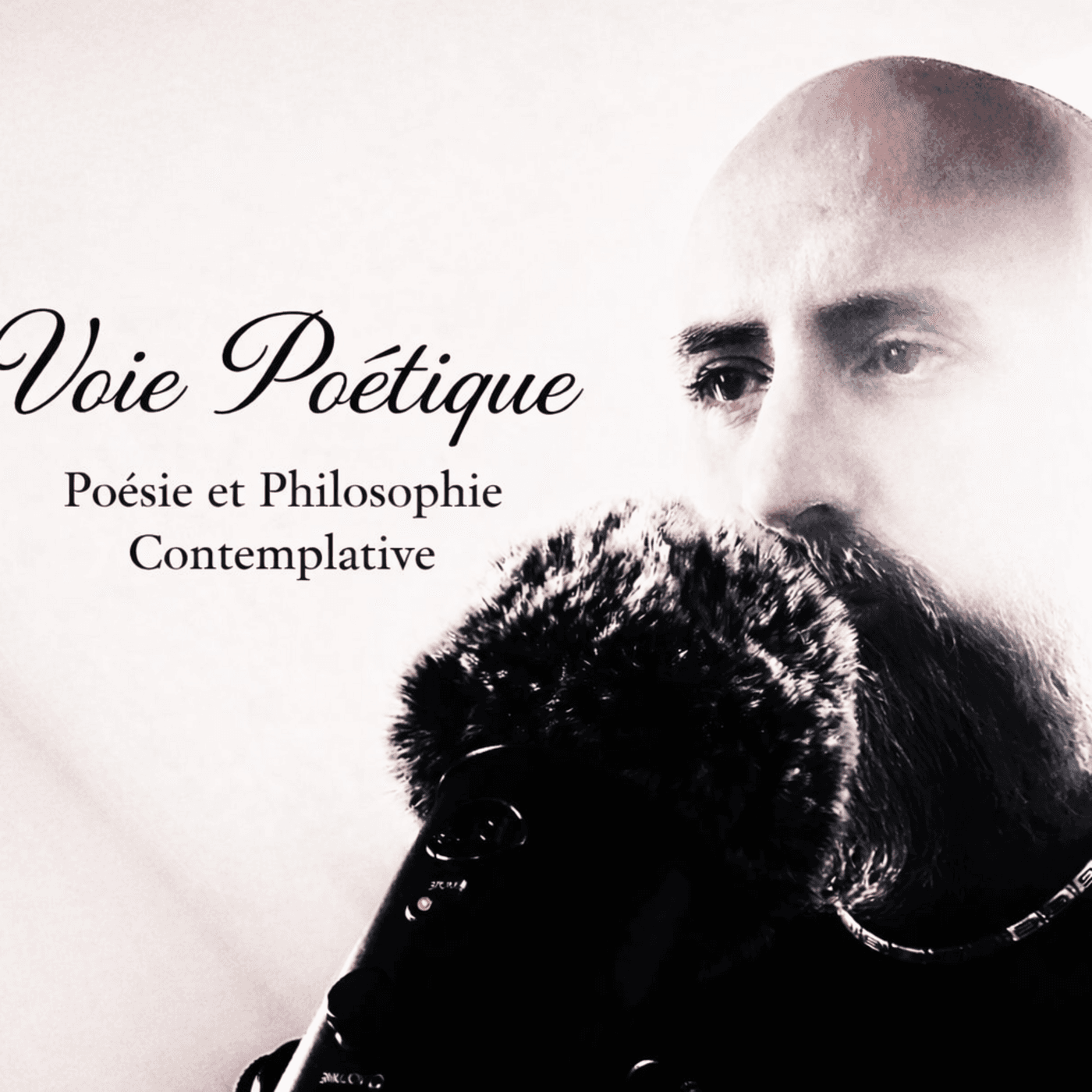 Voie Poétique - Poésie & philosophie contemplative