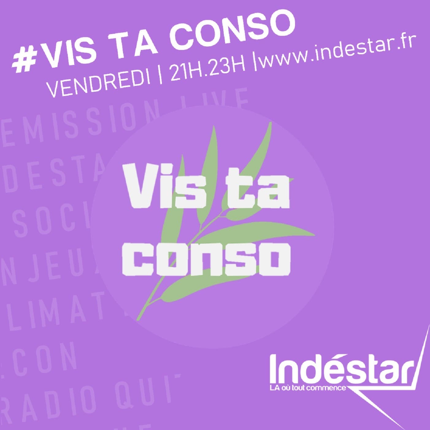 INDESTAR - Vis ta conso